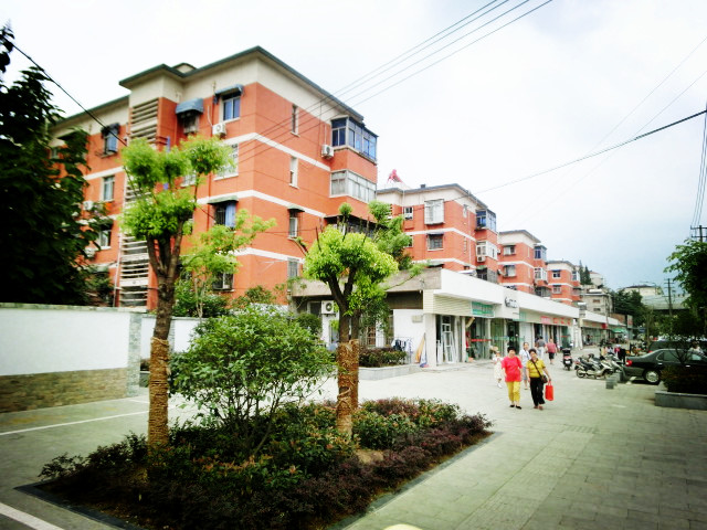 南京立體綠化,南京立體綠化墻,南京屋頂花園,南京屋頂花園裝修