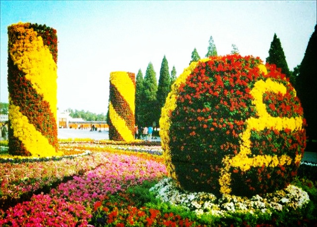 南京立體綠化,南京立體綠化墻,南京屋頂花園,南京屋頂花園裝修